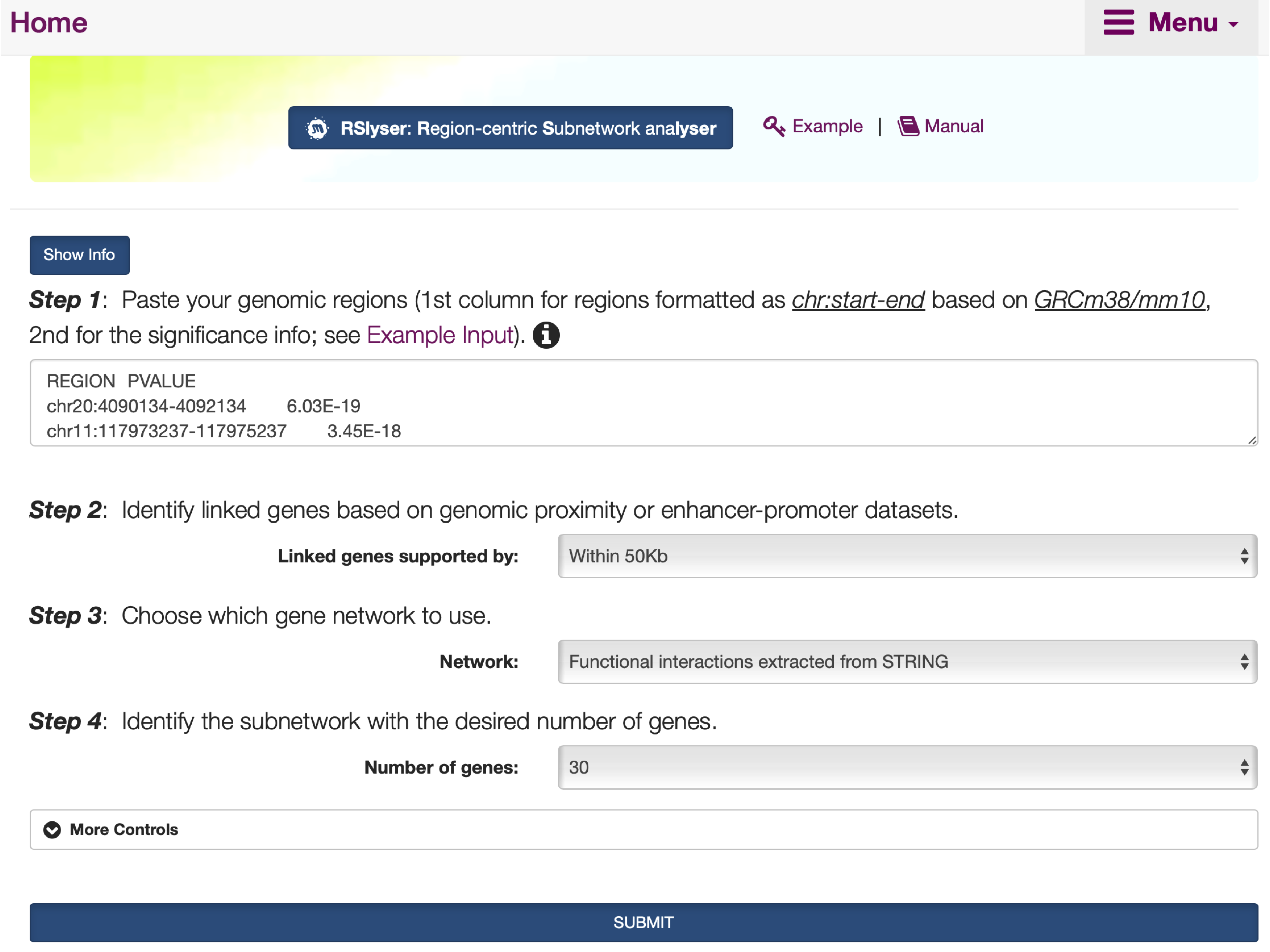 The interface of `RSlyser`, including the `Show/Hide Info` toggle button with the help information on how to use the interface.